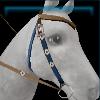 Blue Spring bridle