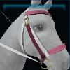White Spring bridle