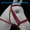 Red standard bridle