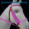 Pink standard bridle