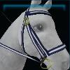 Sailor bridle