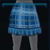 Blue checkered skirt