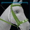 Green Easter bridle