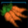 A load of carrots