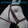 Burgundy fall bridle