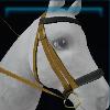 Yellow fall bridle