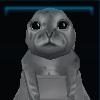 Seal pup
