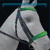 Emerald racing bridle