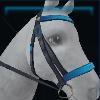Aqua racing bridle
