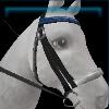 Halter_reins_118