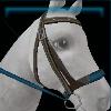Blue Winter bridle