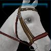 Red Winter bridle