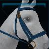 Shooting star bridle
