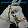 Decorative bridle