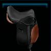 Fort Pinta saddle