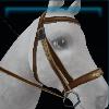 Pioneer bridle