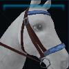 Blue pioneer bridle