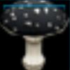 Black toadstools