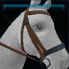 Exclusive blue Spring bridle