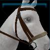 Dark city bridle