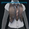 Brown school vest