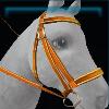Orange designer bridle