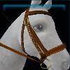 Orange Jarla bridle