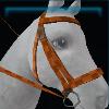 Orange plaid bridle