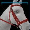 Red plaid bridle