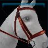 Red explorer bridle