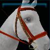 Red Jarla bridle