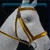Yellow explorer bridle