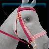 Luxury pink Spring bridle