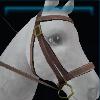 Brown shabby-chic bridle
