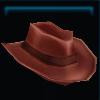 Brown western hat
