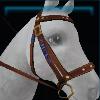 Brown cowboy bridle
