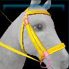 Silverglade bridle