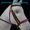 Colorful Easter bridle