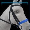 Blue beach bridle
