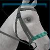 Turquoise beach bridle