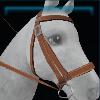 Everwind bridle