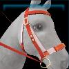 Red ocean bridle