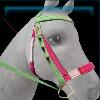 Pink and green sorbet bridle