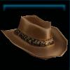 Brown cowboy hat