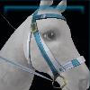 Blue sailing bridle