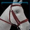 Red team bridle