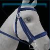 Blue team bridle