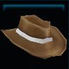 Brown beach hat