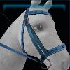 Blue riding instructor bridle