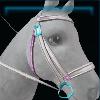 White water bridle